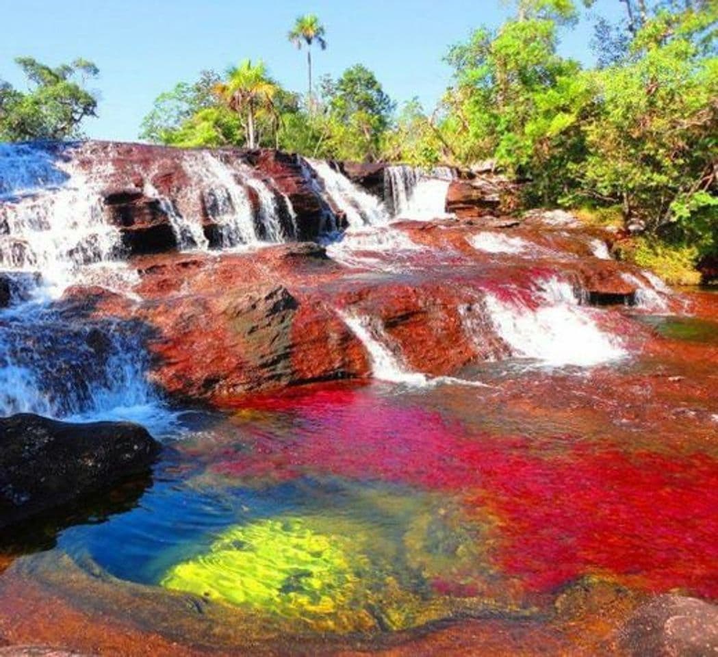 Lugar Caño Cristales