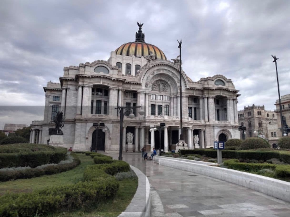 Place Museo de Bellas Artes