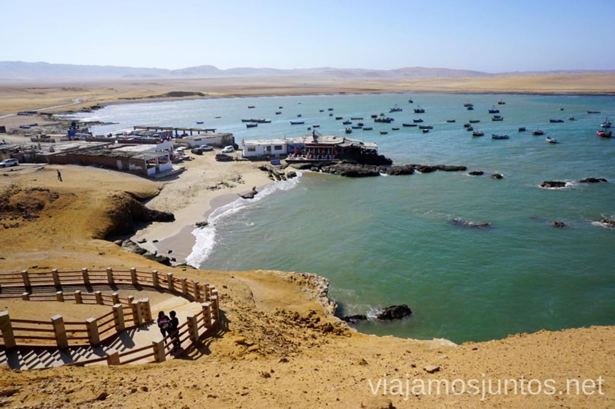 Place Paracas National Reserve