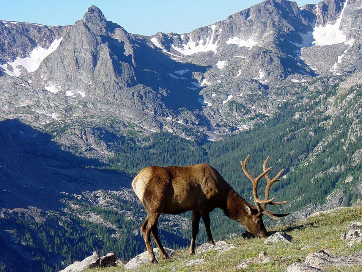 Lugar Parque Nacional de las Montañas Rocosas