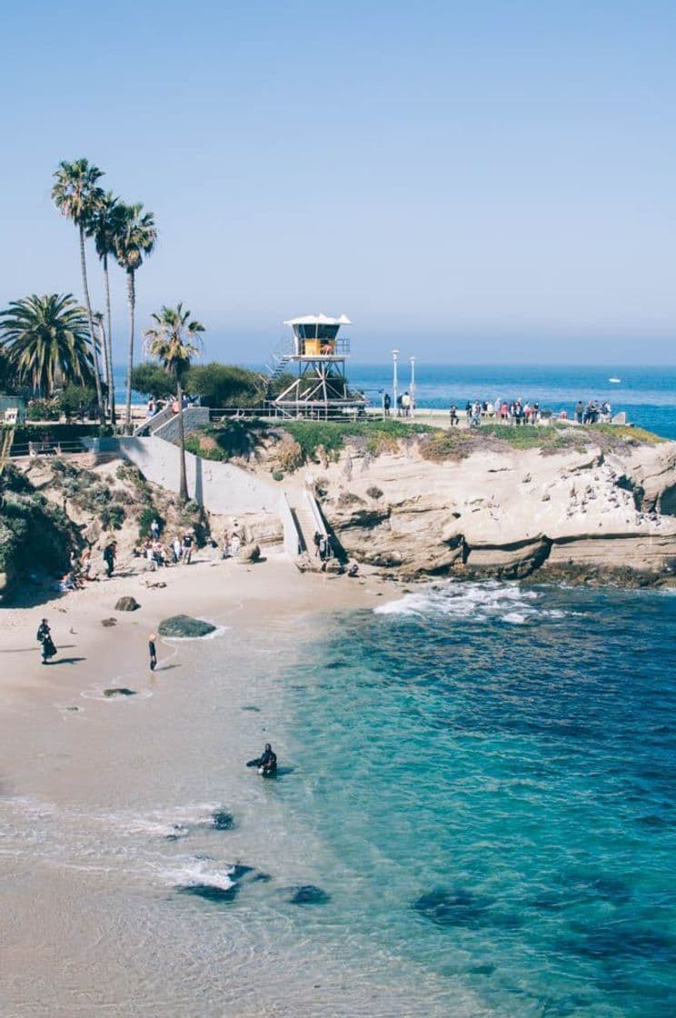 Place La Jolla Cove