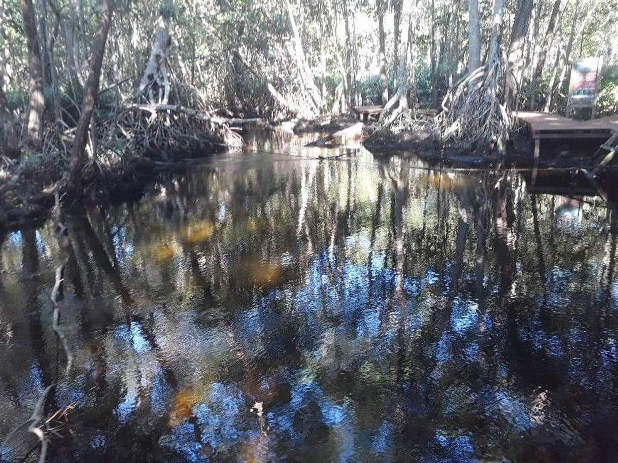 Lugar Ojo de Agua Baldiosera