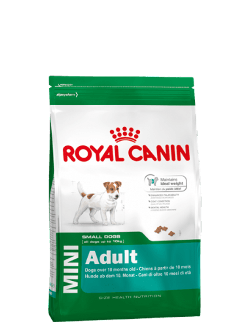 Fashion Royal Canin cão