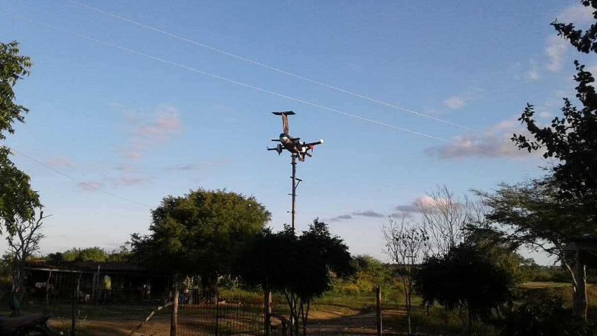 Moda Avião da caatinga - Feito por Evaristo