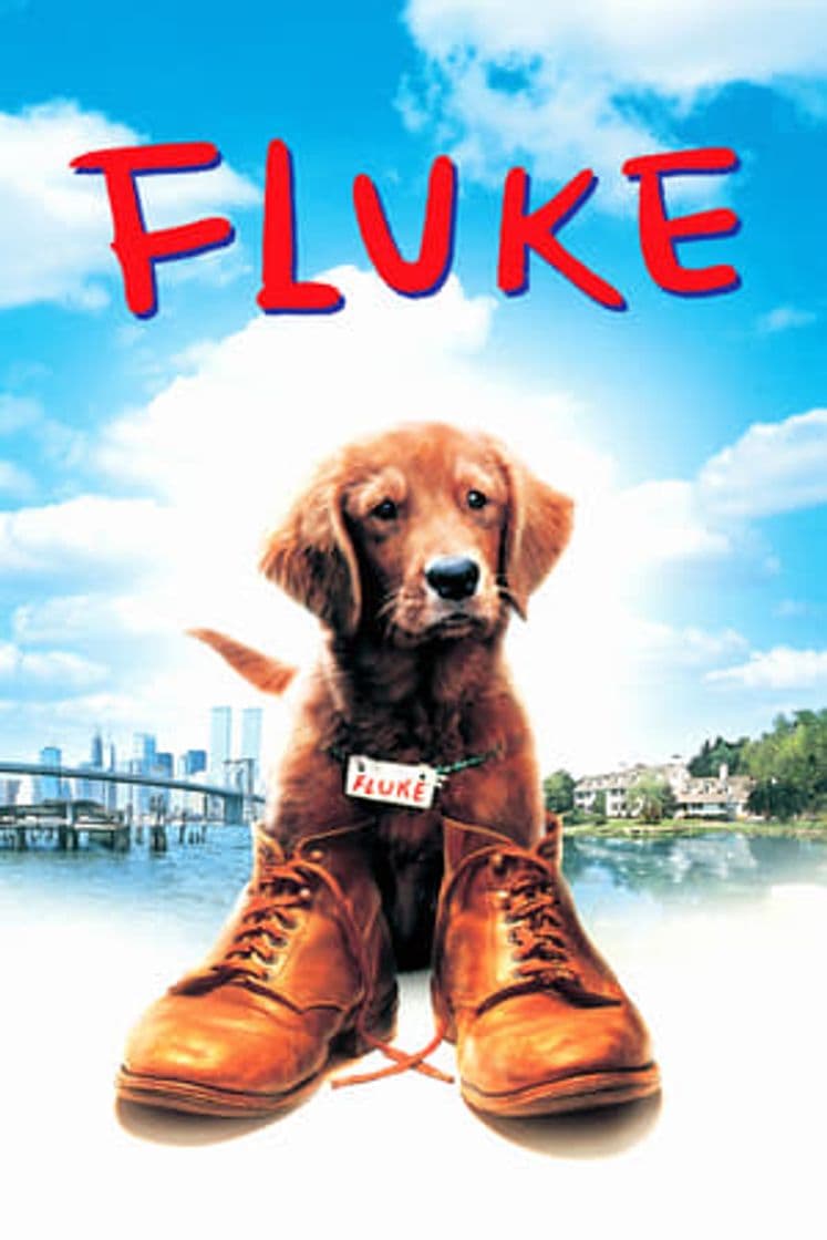 Movie Fluke