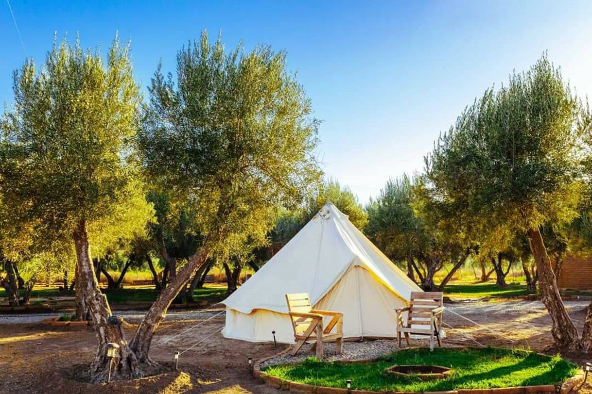 Lugar Guadalupe Valle Glamping - Photos | Facebook