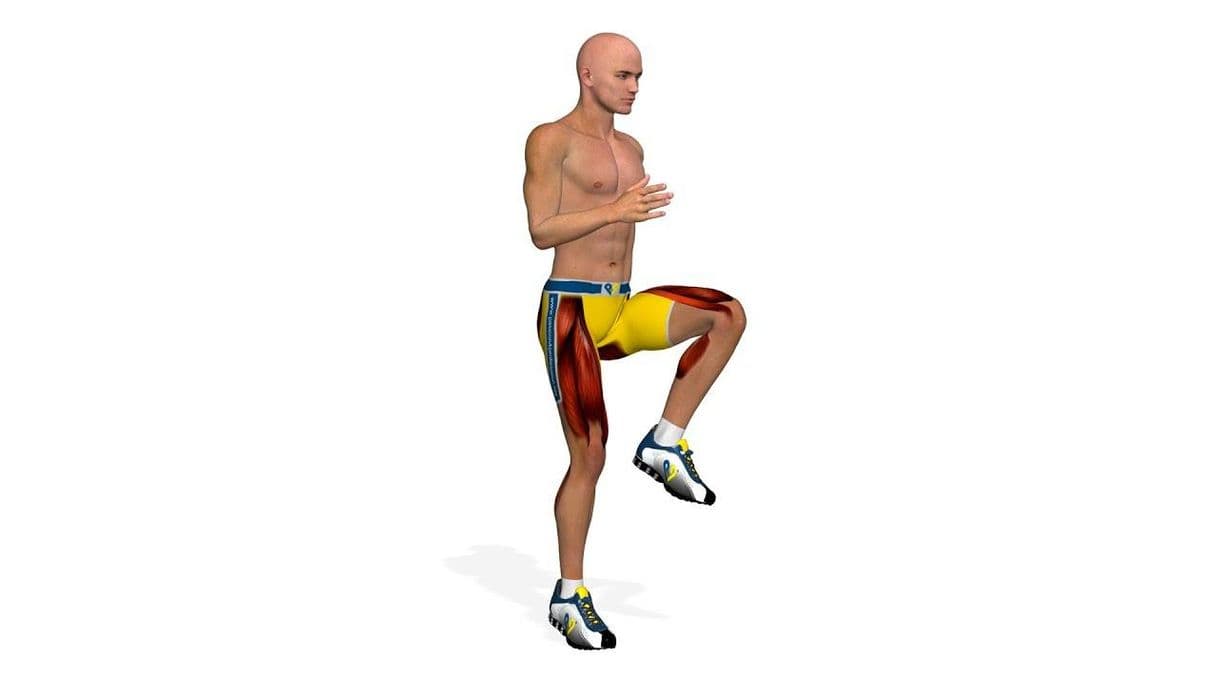 Moda Ejercicios de piernas: High Knees Running In Place - YouTube