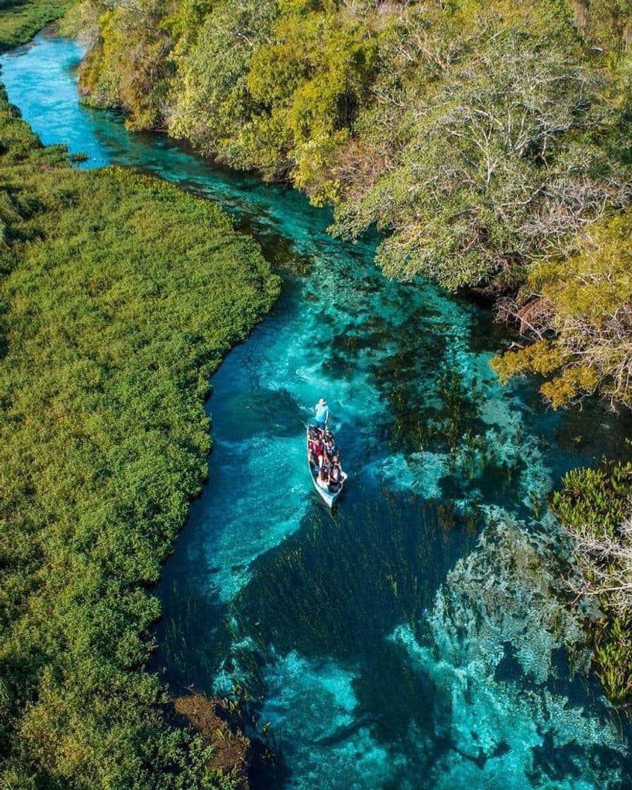 Place Rio Sucuri Ecoturismo Bonito MS