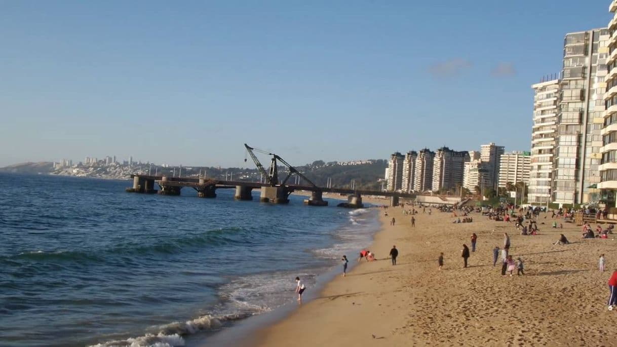 Lugar Playa Acapulco De Viña Del Mar