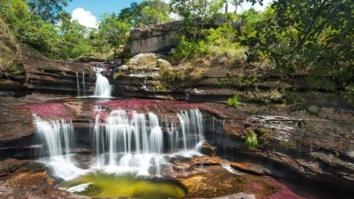 Place Caño Cristales