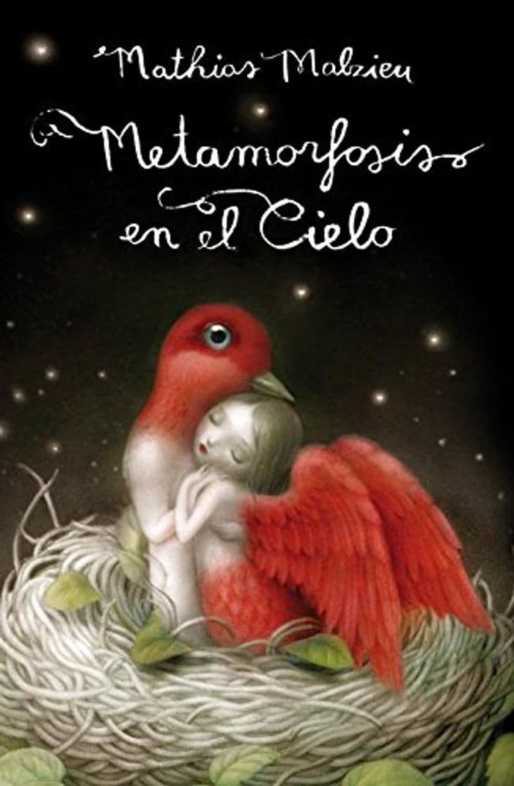 Book Metamorfosis en el cielo