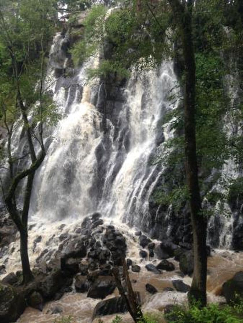 Place Cascada Velo de Novia Real