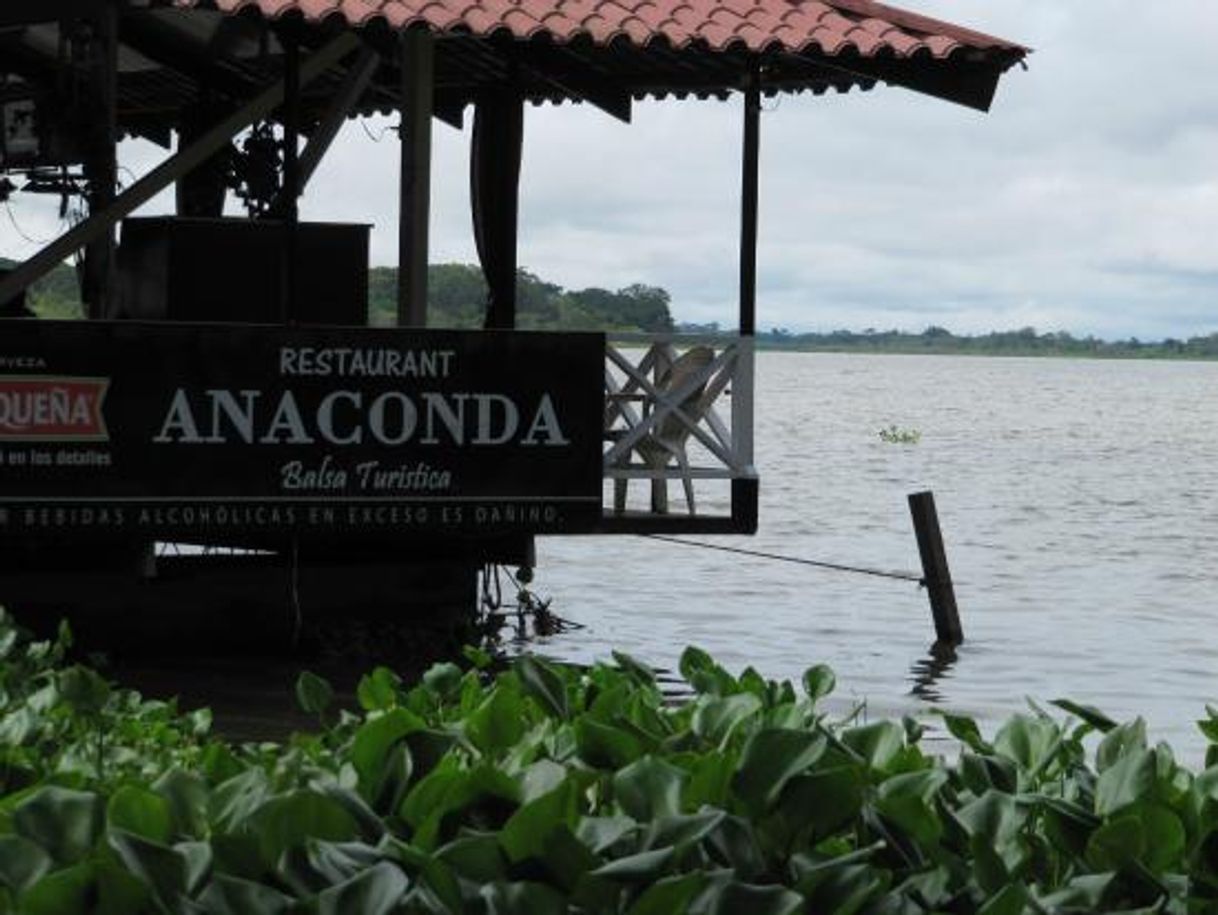 Restaurants La Anaconda