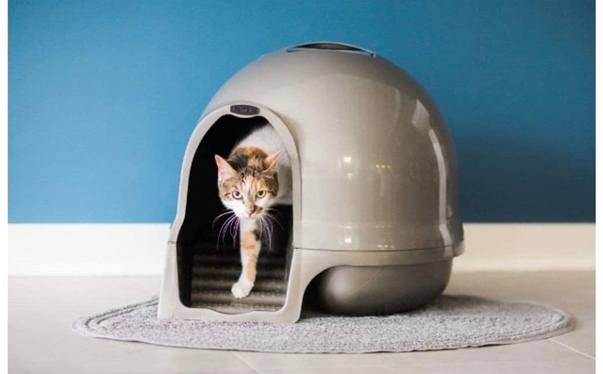 Moda Dome cat litter box