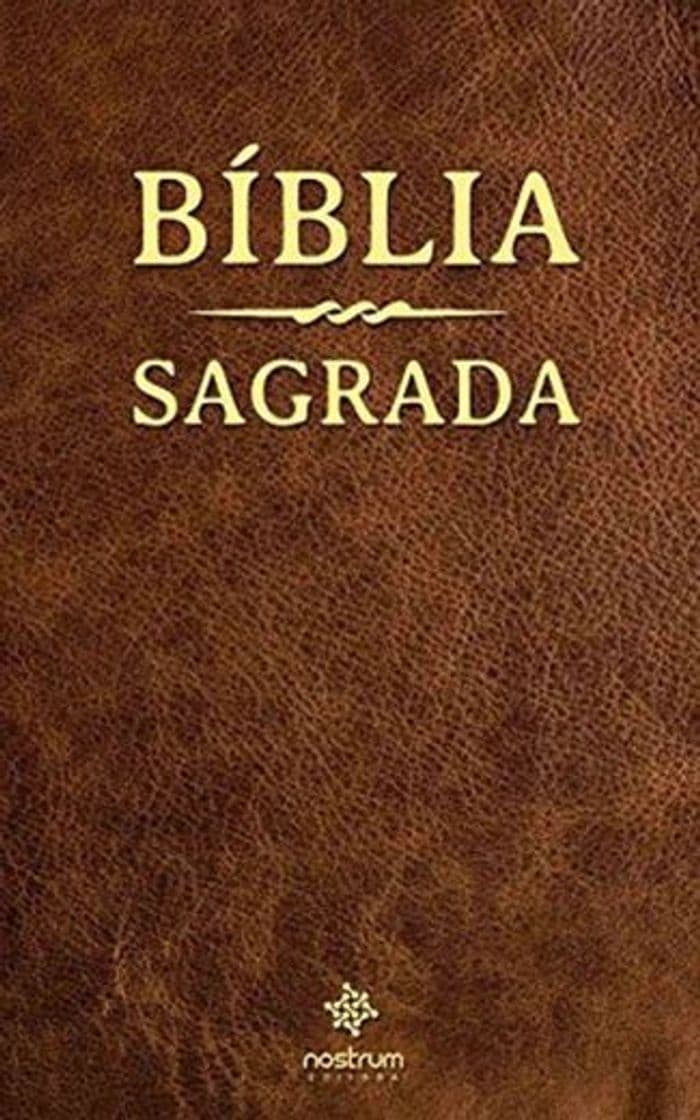 Book Bíblia Sagrada