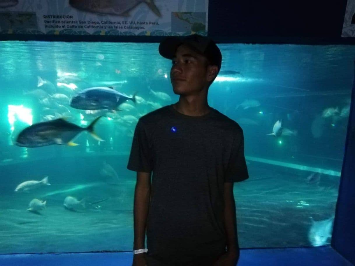 Place Acuario Mazatlán