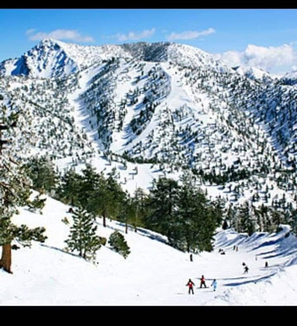 Place Mount Baldy