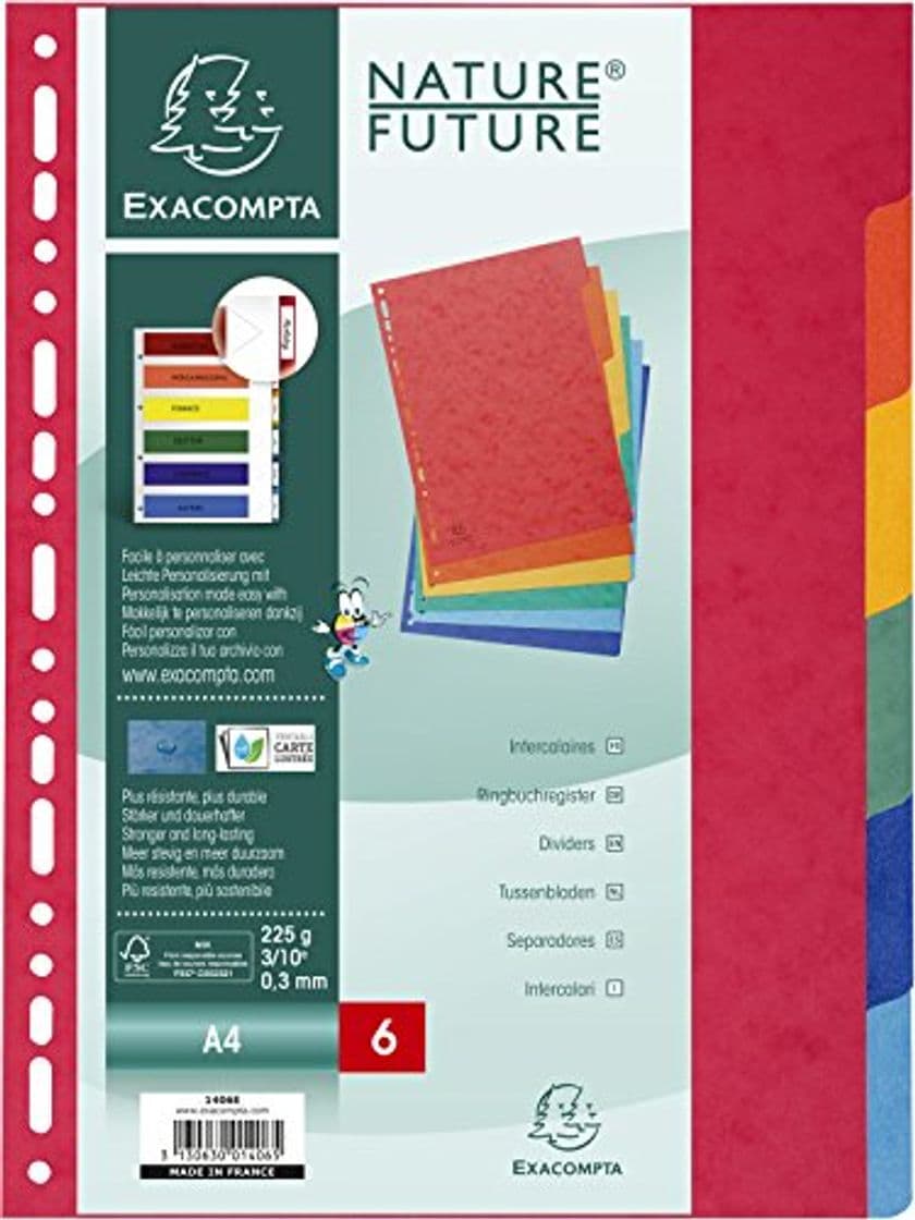 Product Exacompta 1406E - Juego de 6 separadores de cartulina lustrada DIN A4