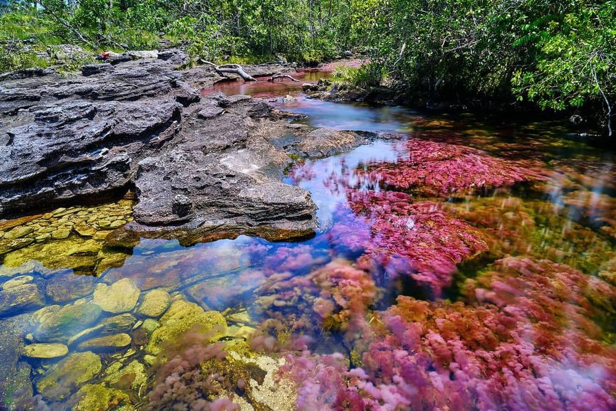 Lugar Caño Cristales