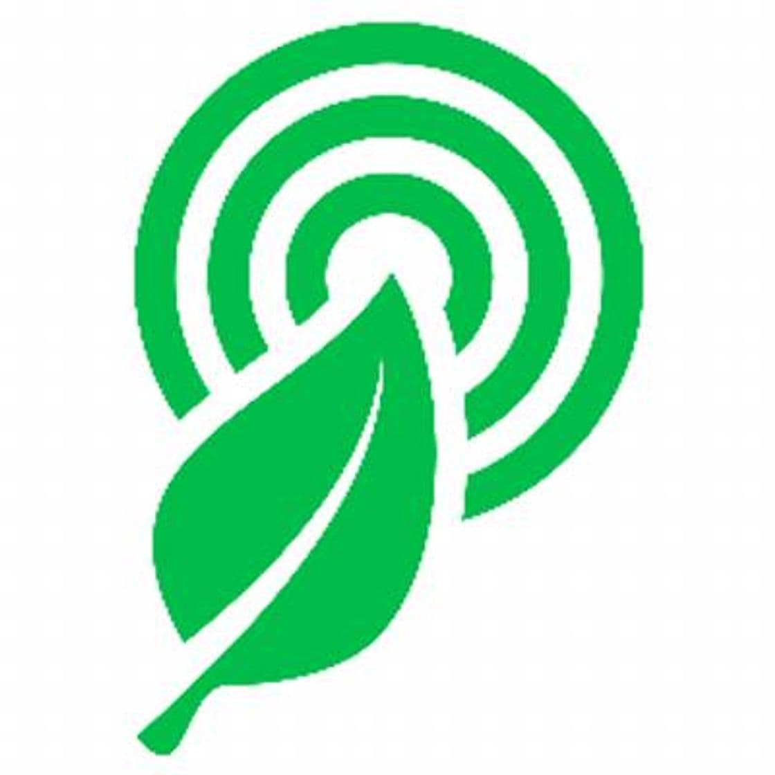 App Rainforest Connection