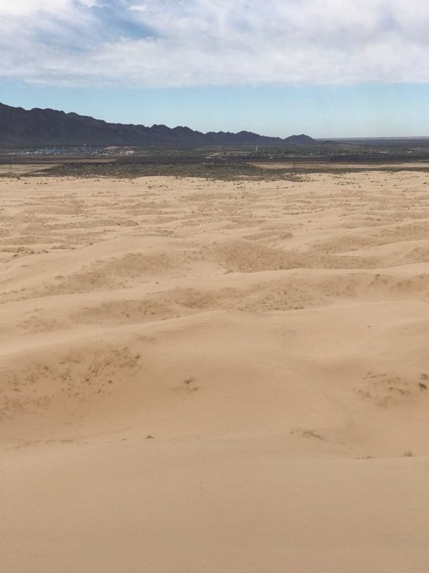 Place Dunas De Samalayuca, Chihuahua