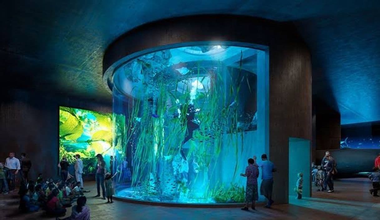 Lugar Acuario Mazatlán