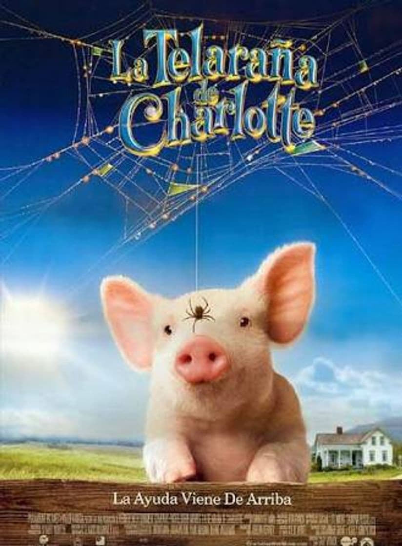 Movie La Telaraña De Charlotte 