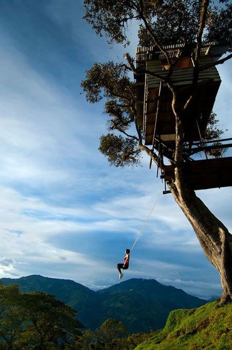 Place La Casa del Arbol