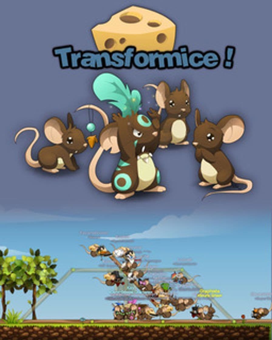 Videogames Transformice 