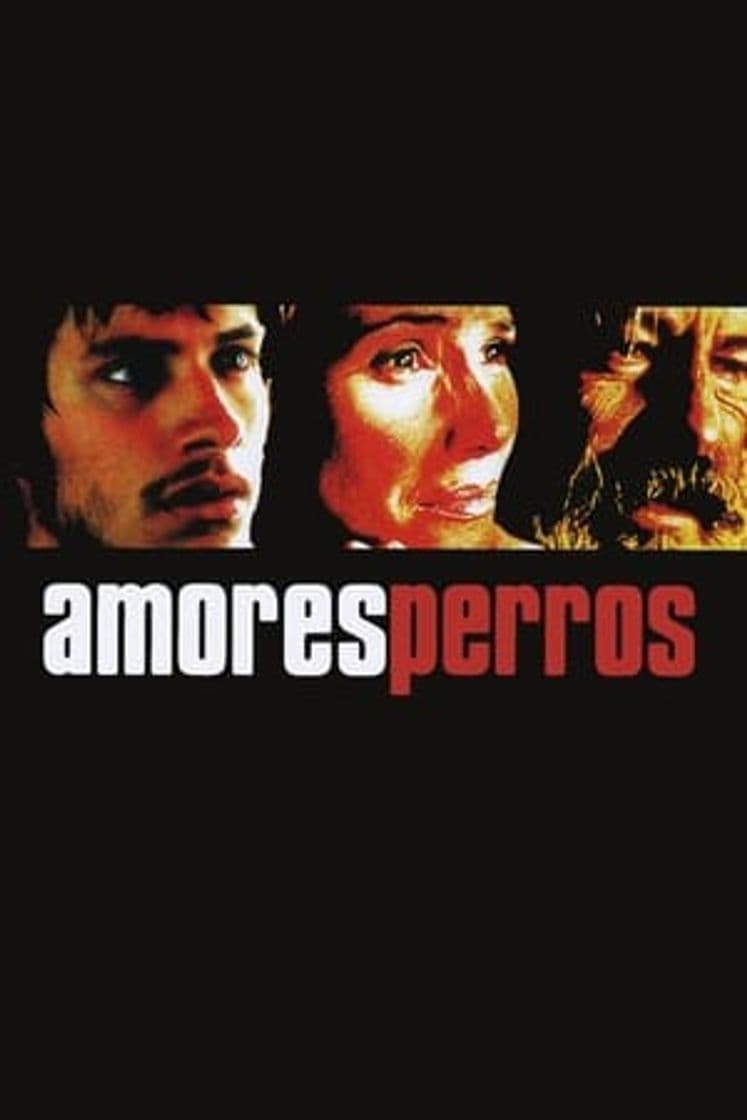 Movie Amores Perros