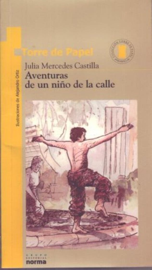 Book Aventuras De UN Nino De LA Calle