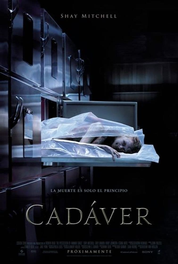 Película Película Cadaver 