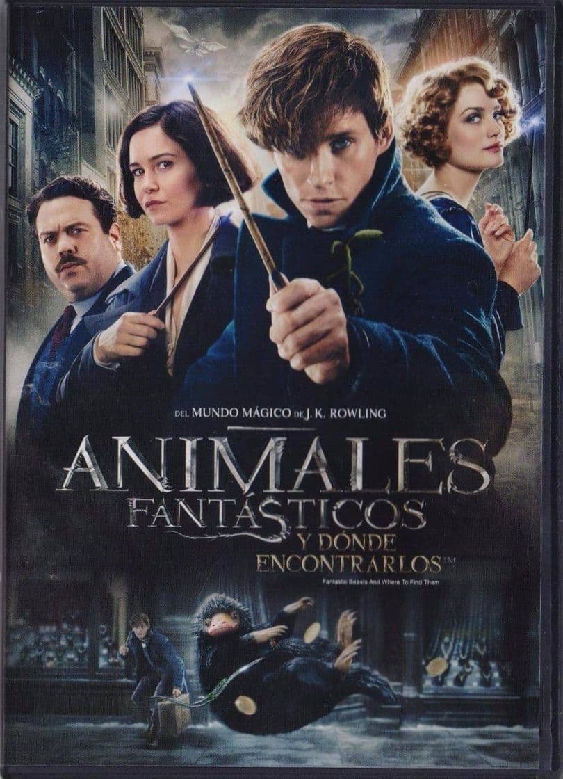 Movie Animales Fantásticos ¿Y dónde encontrarlos?