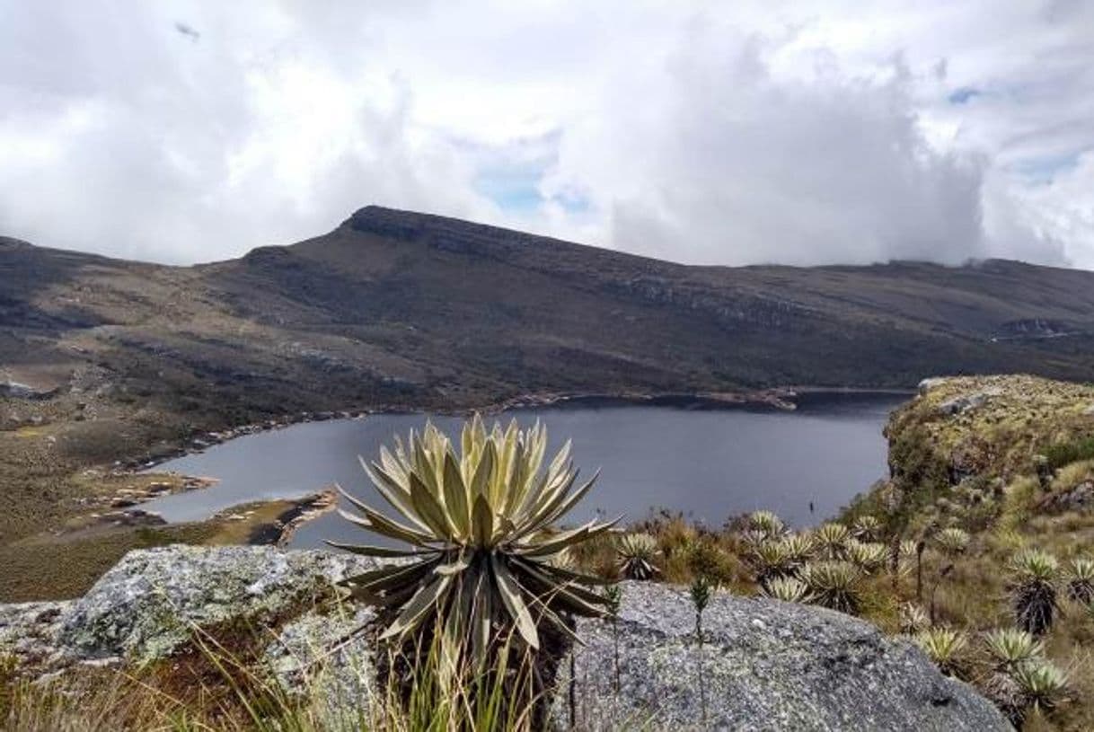 Place Páramo de Sumapaz