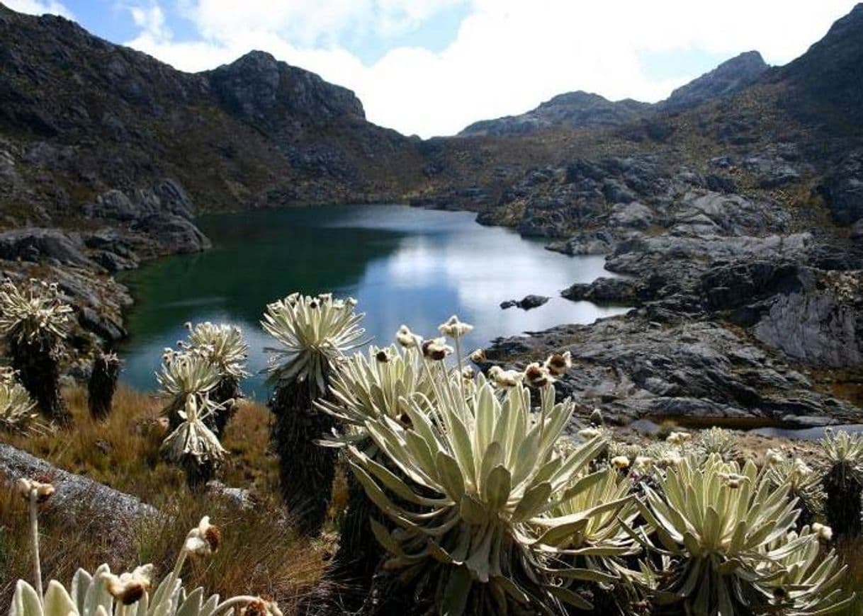 Place Paramo de Santurban