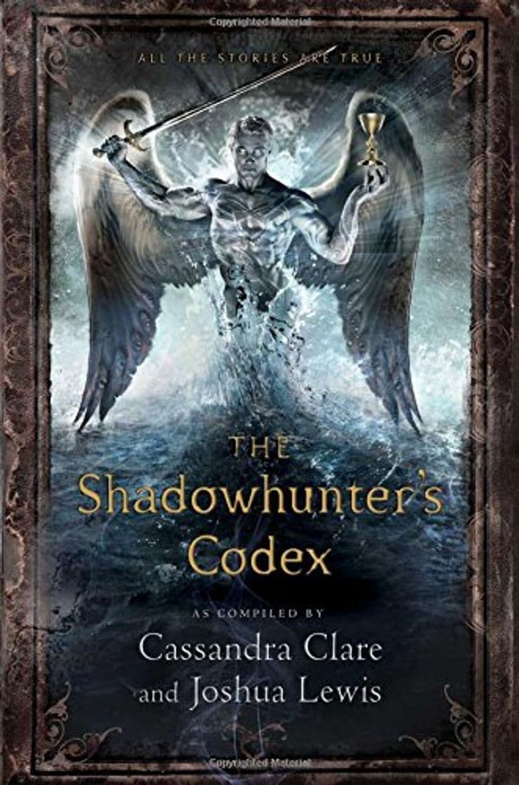 Book The Shadowhunter's Codex (Mortal Instruments)