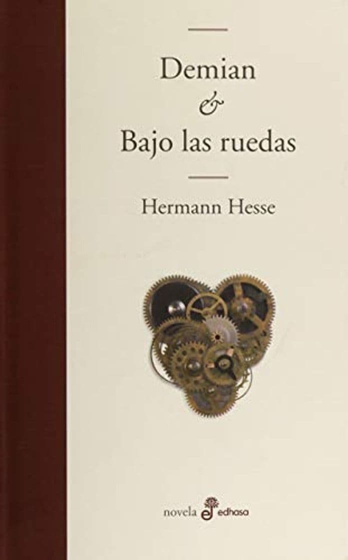 Book Demian y bajo las ruedas