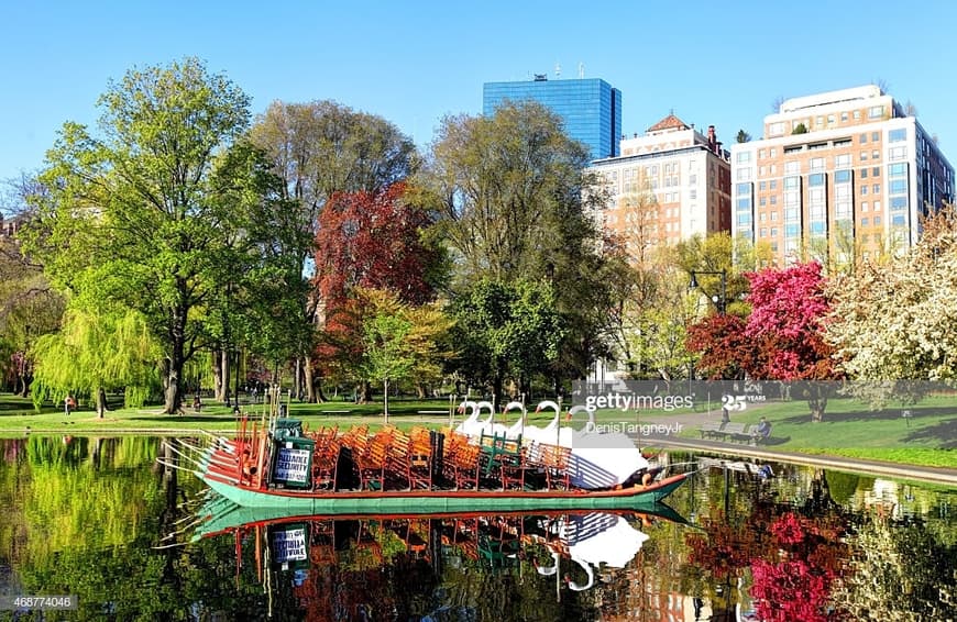 Place Boston Public Garden