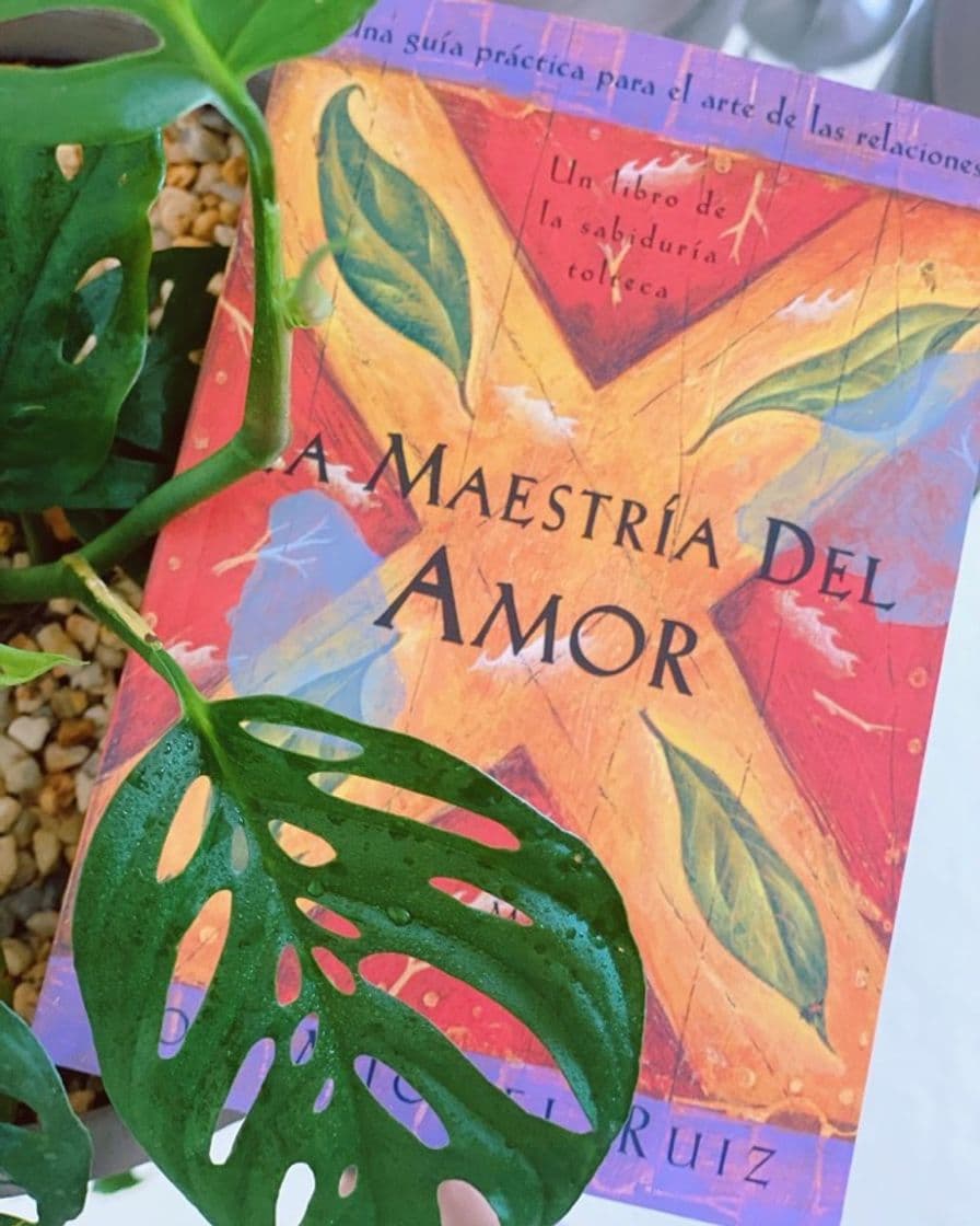 Libro La maestría del amor: Una guía práctica para el arte de las