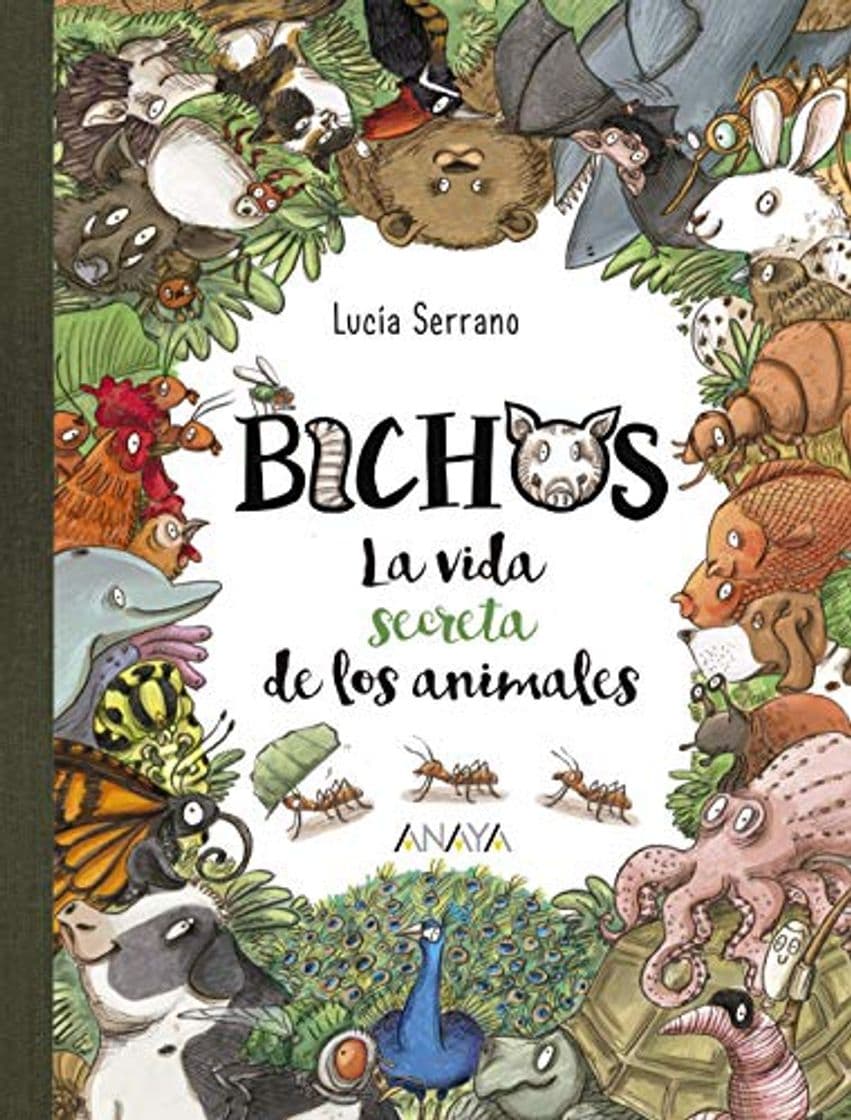 Book Bichos: La vida secreta de los animales