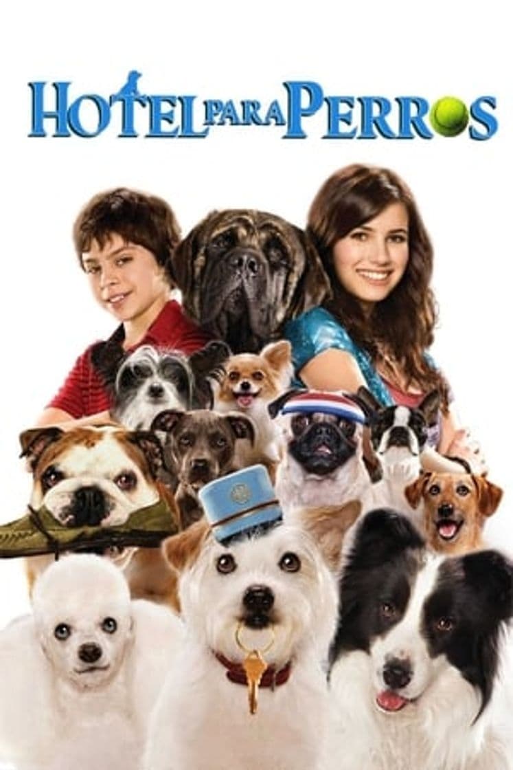 Movie Hotel for Dogs