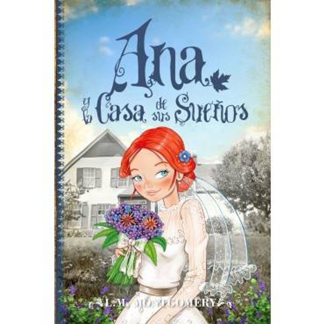 Book Ana y la casa de sus sueños