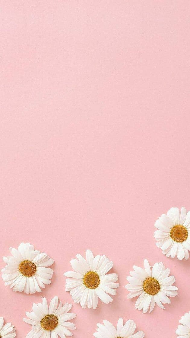 Fashion WALLPAPER 🌼