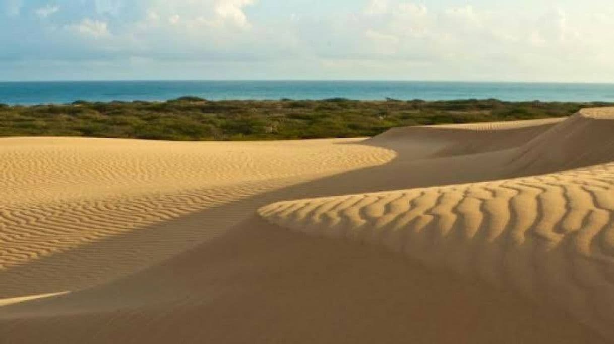 Lugar Parque Nacional Médanos De Coro