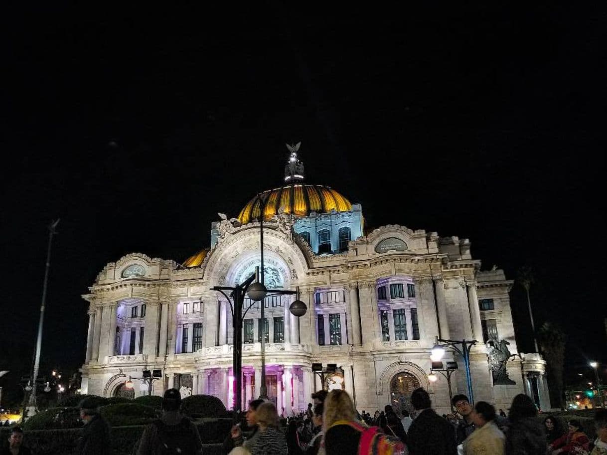 Lugar Palacio de Bellas Artes