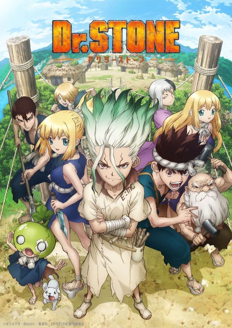 Fashion Dr. Stone 