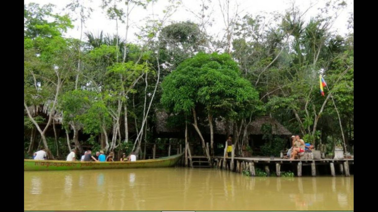 Lugar Parque Nacional Mariusa