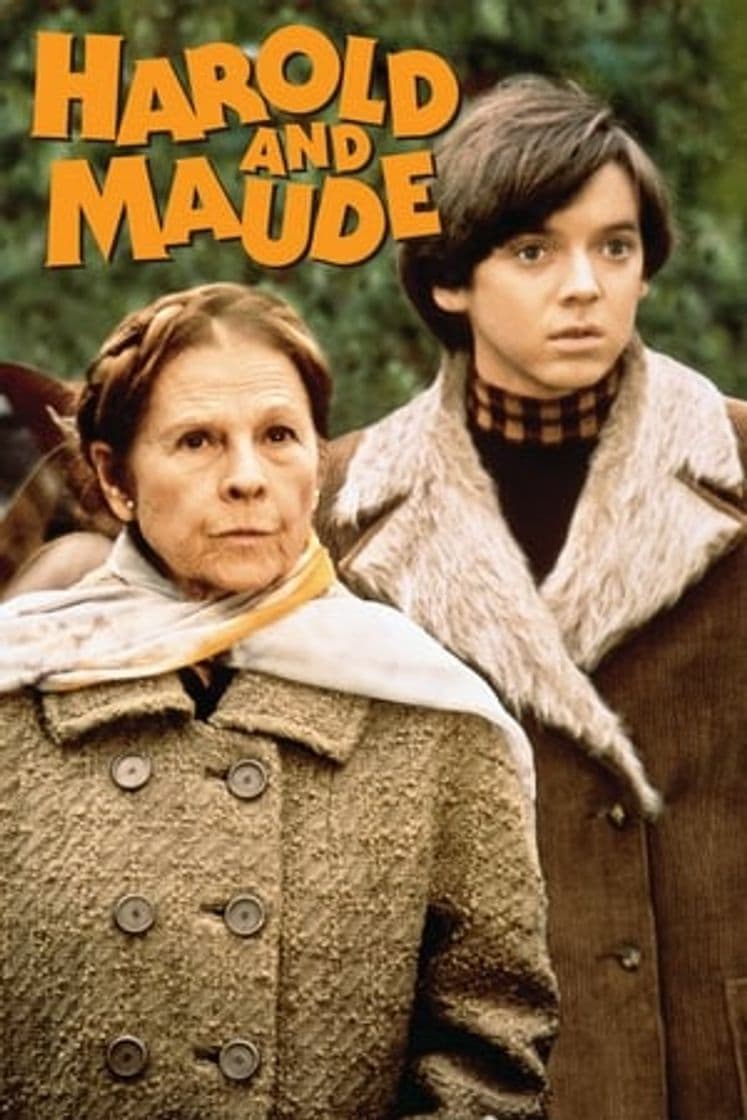 Película Harold and Maude