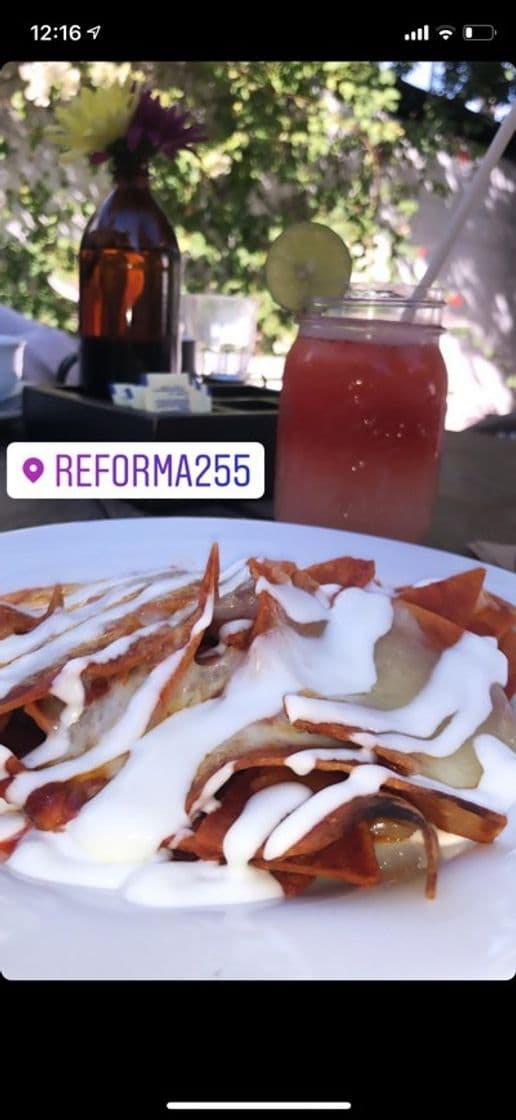 Restaurants Reforma 255