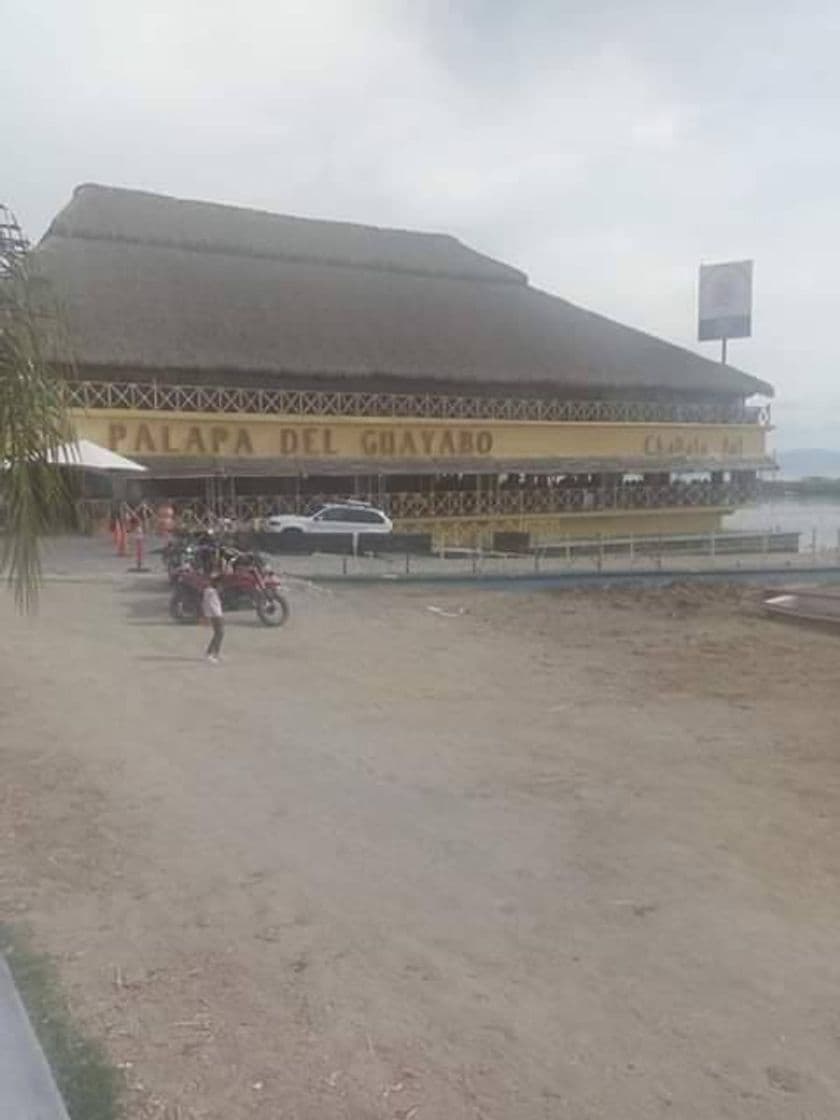 Restaurantes La palapa del guayabo